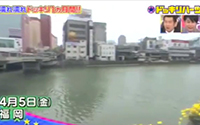 youは何にしに日本へ